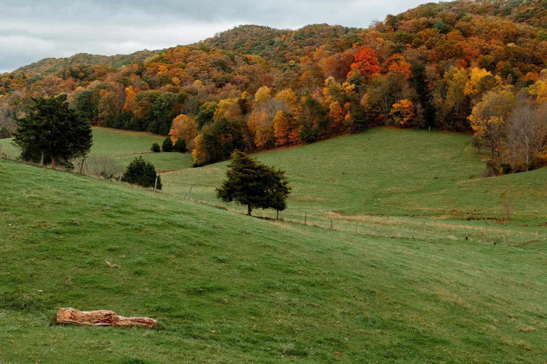 Rolling Piedmont hills under autumn sky